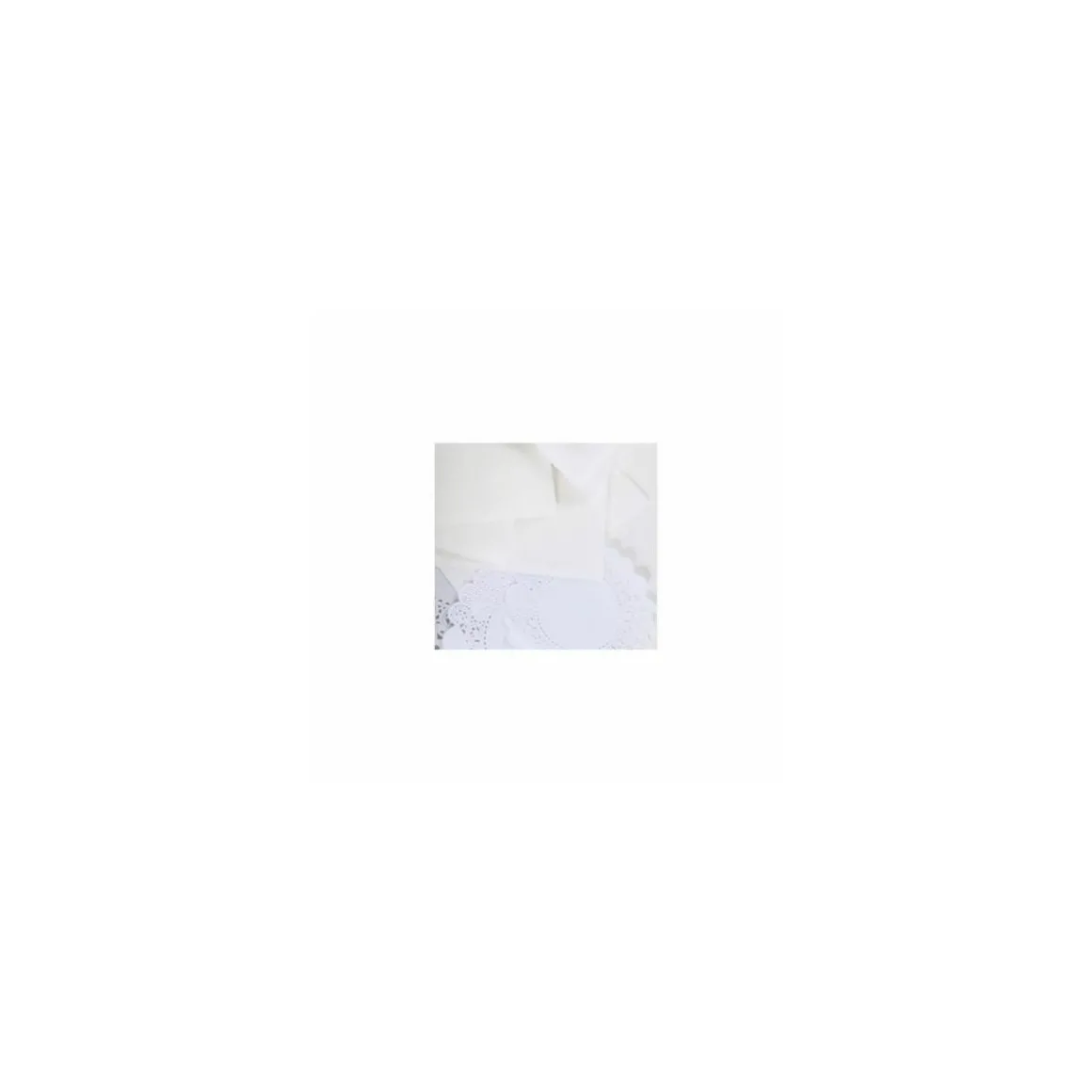 Serviette ouate blanche 30 x 30 cm 2 feuilles - par 200