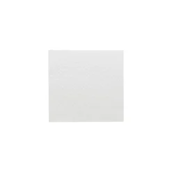 Serviette ouate blanc 30 x 30 cm - par 100