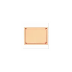 Set de table papier ivoire 31 x 43 cm - par 500