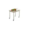 Table centrale inox avec roulettes 140 x 70 cm