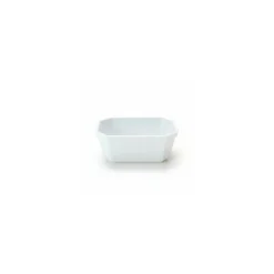 Terrine rectangulaire plastique blanc 25 cl - par 100