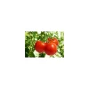 Tomate Poudre - par 1 kg