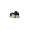Truffes noires morceaux - par 100 g