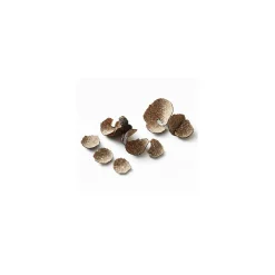 Truffes noires pelures - par 100 g